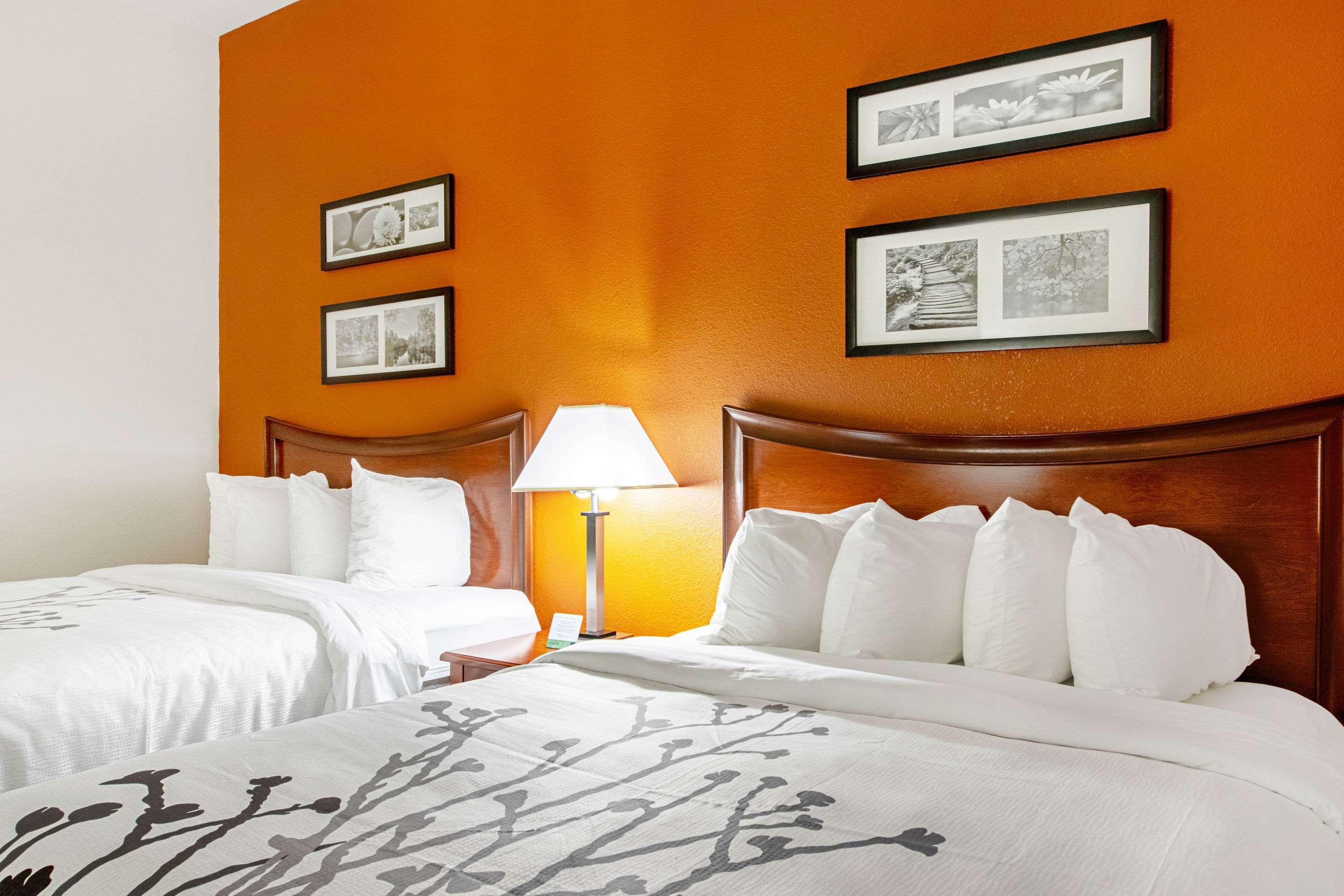הובס Sleep Inn & Suites מראה חיצוני תמונה